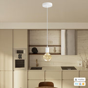 PENDEL CONFIG MATTER 10049